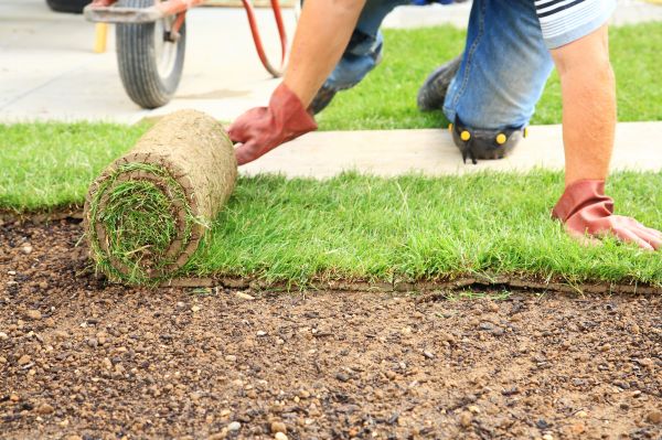 Sod Service