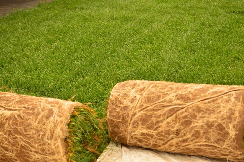 Lush Sod Ready for Delivery