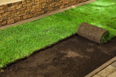 Landscaping with Sod