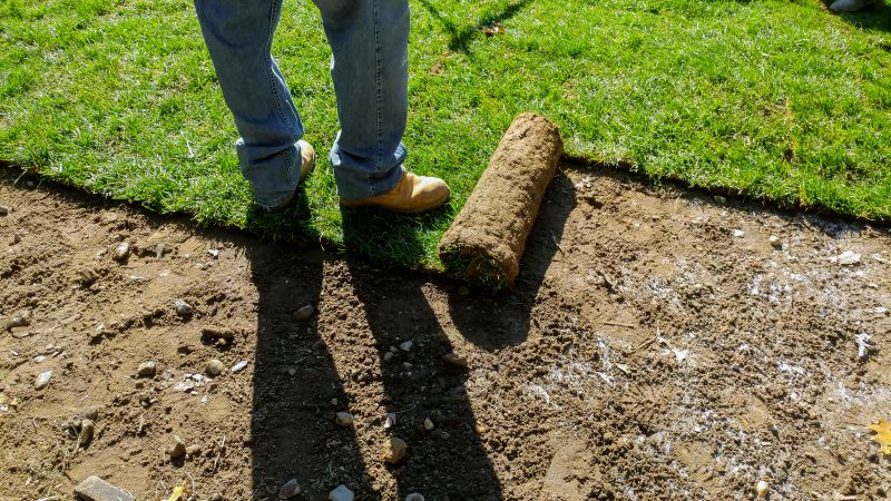 Laying Sod Rolls